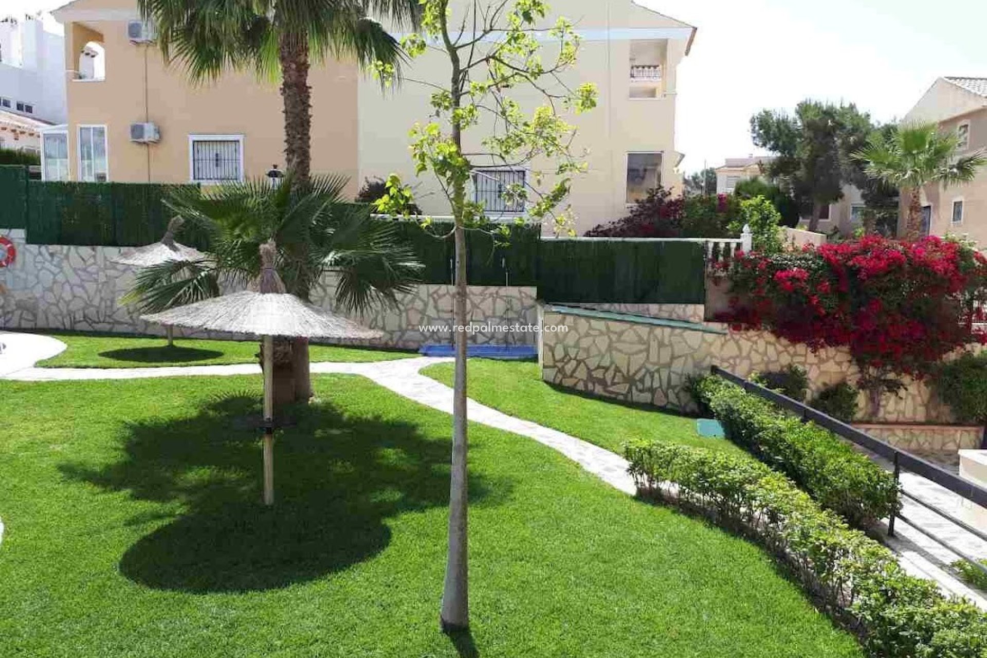 Återförsäljning - Lägenhet -
Orihuela Costa