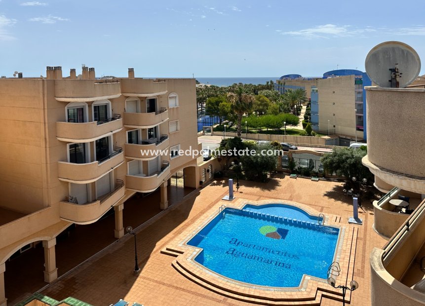 Återförsäljning - Lägenhet -
Orihuela Costa