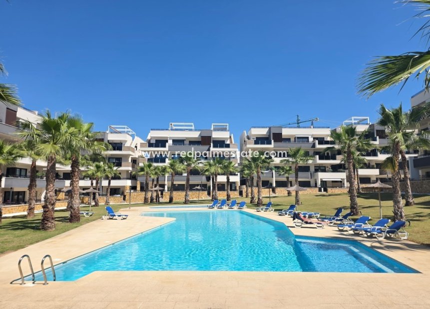 Återförsäljning - Lägenhet -
Orihuela Costa