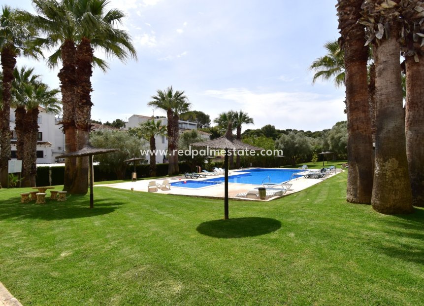 Återförsäljning - Lägenhet -
Orihuela Costa