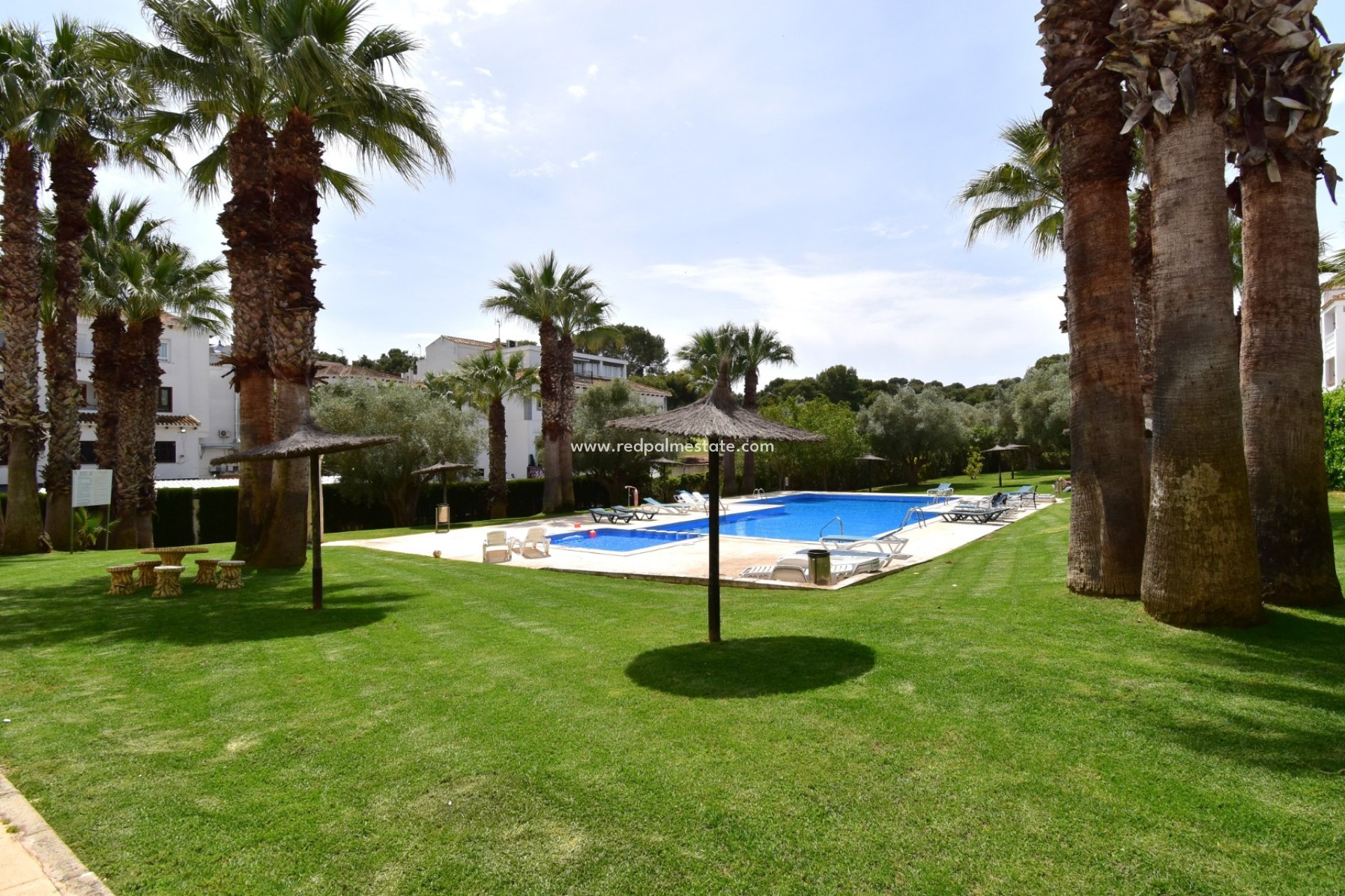 Återförsäljning - Lägenhet -
Orihuela Costa