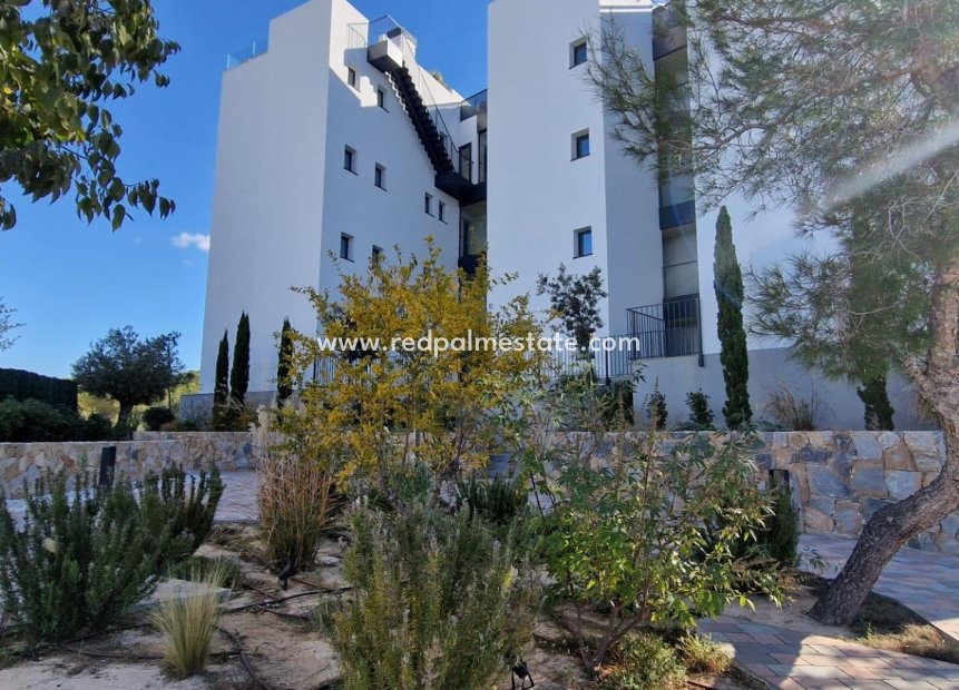 Återförsäljning - Lägenhet -
Orihuela - Las Colinas Golf