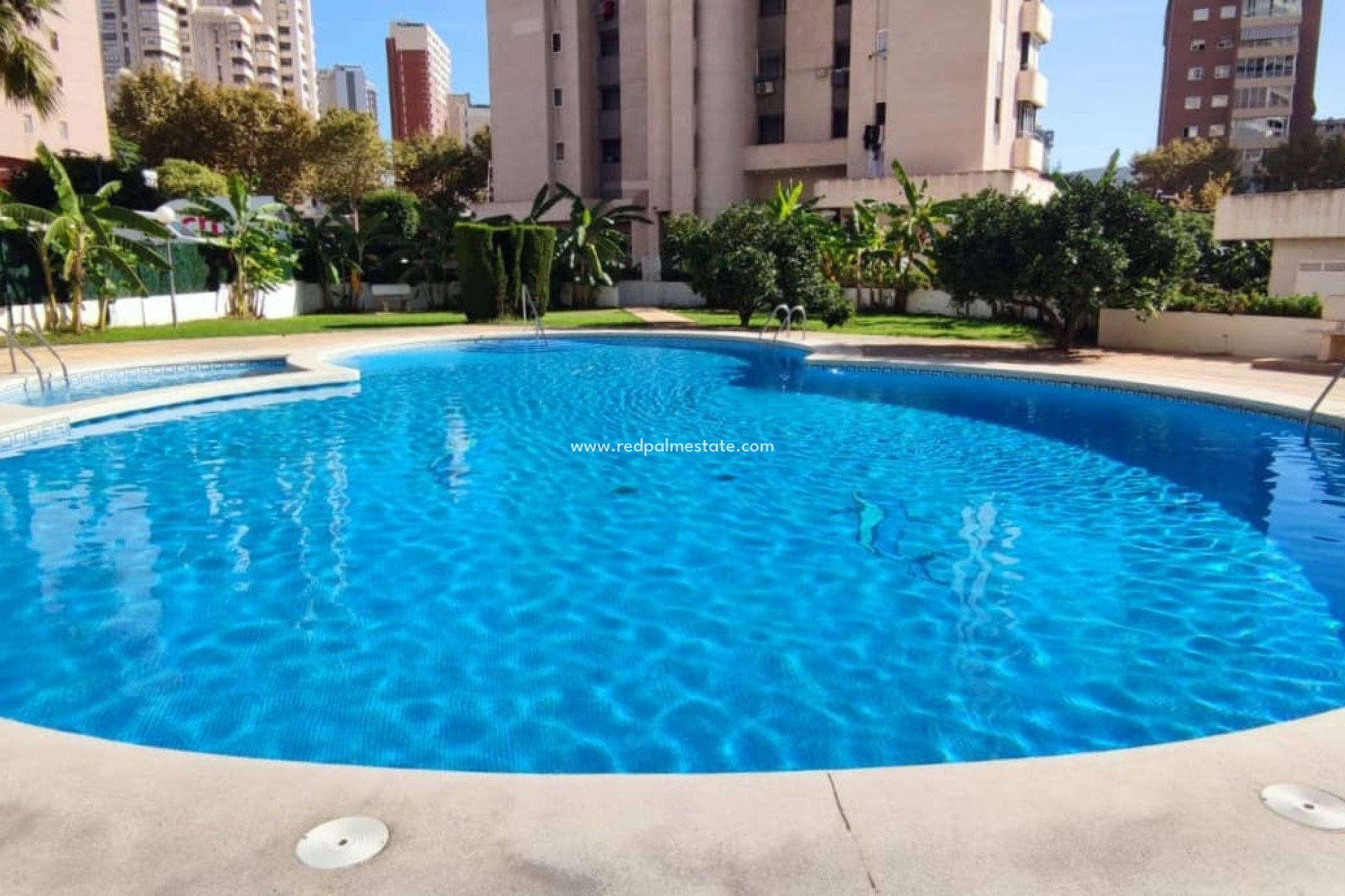 Återförsäljning - Lägenhet Penthouse -
Benidorm - Costa Blanca