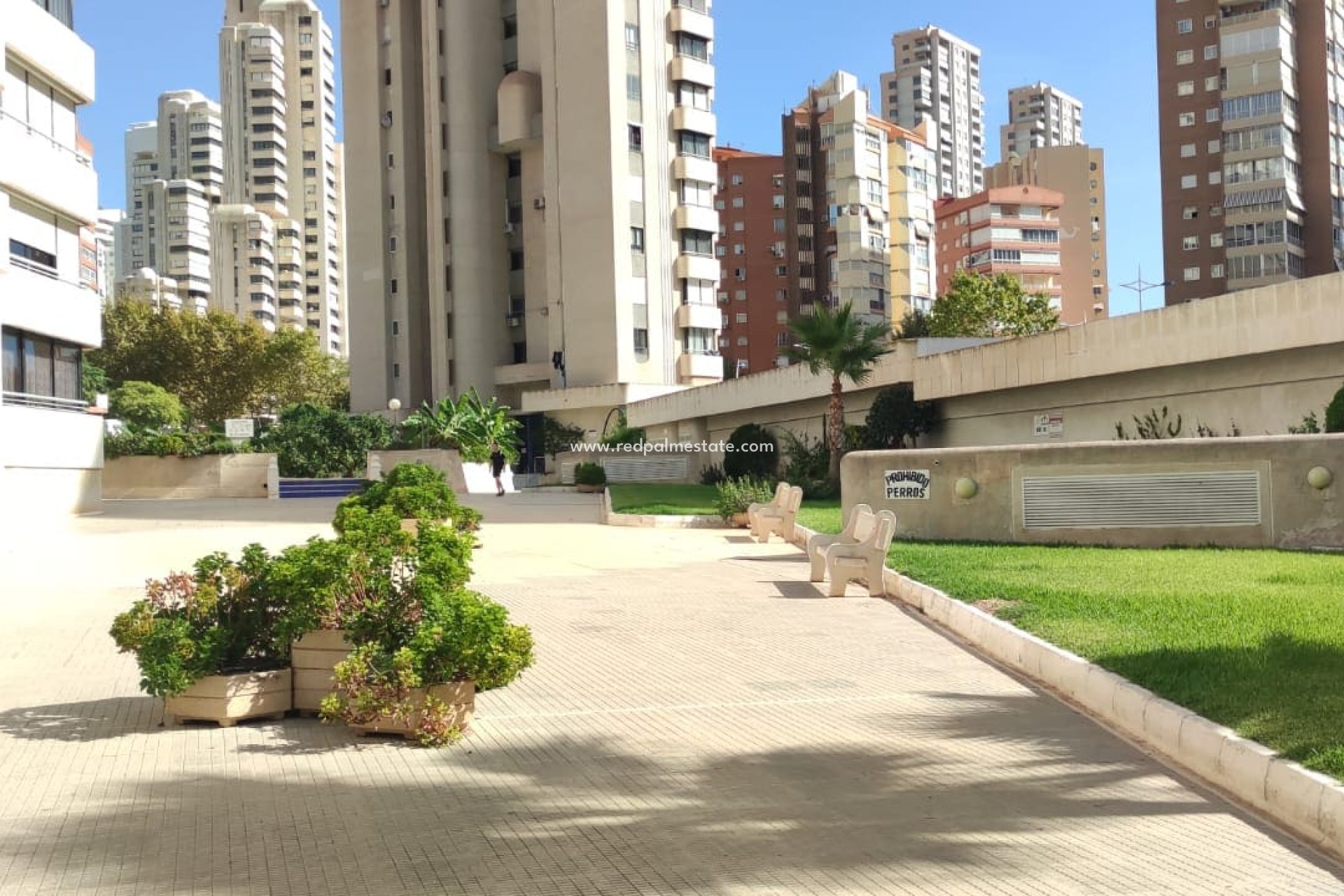 Återförsäljning - Lägenhet Penthouse -
Benidorm - Costa Blanca