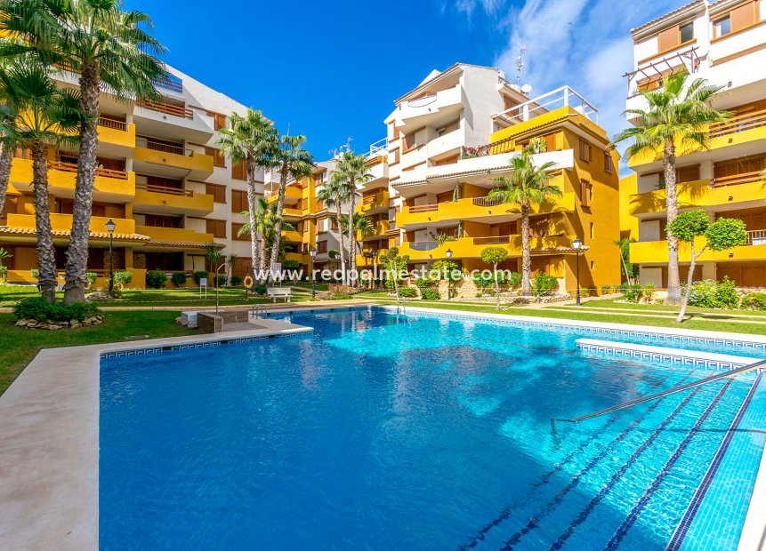 Återförsäljning - Lägenhet Penthouse -
Orihuela Costa - Costa Blanca