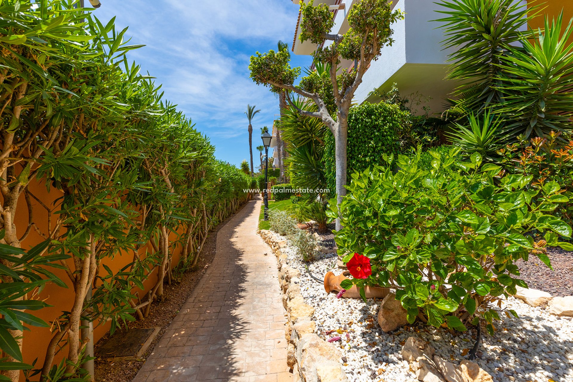 Återförsäljning - Lägenhet Penthouse -
Orihuela Costa - Costa Blanca