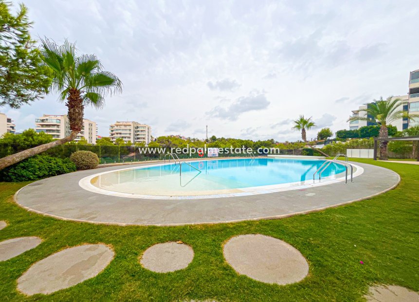 Återförsäljning - Lägenhet Penthouse -
Orihuela Costa - Costa Blanca