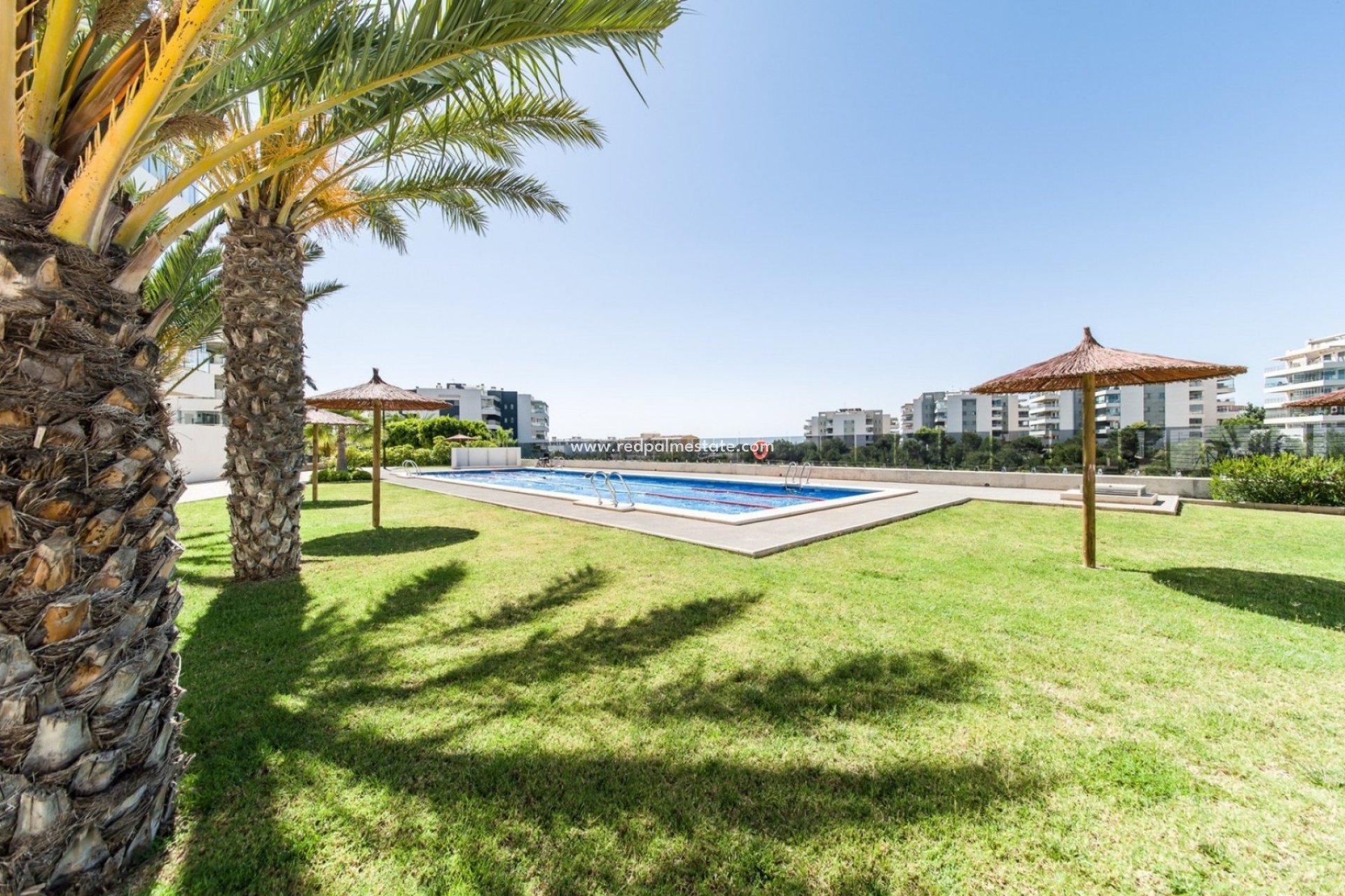 Återförsäljning - Lägenhet Penthouse -
Orihuela Costa - Costa Blanca