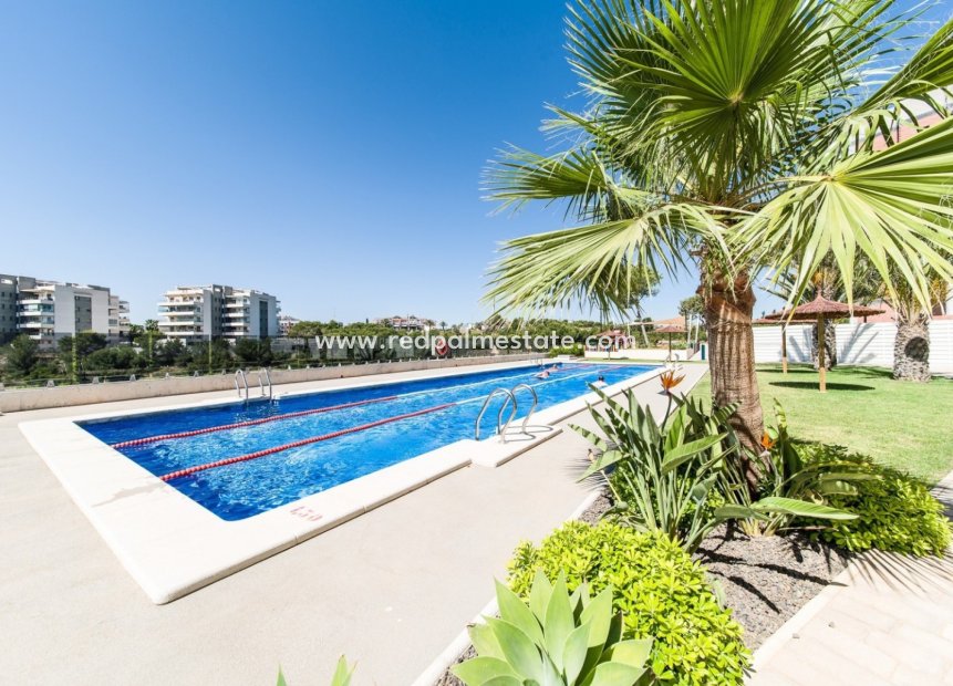 Återförsäljning - Lägenhet Penthouse -
Orihuela Costa - Costa Blanca