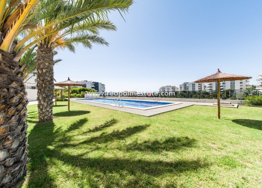 Återförsäljning - Lägenhet Penthouse -
Orihuela Costa - Costa Blanca