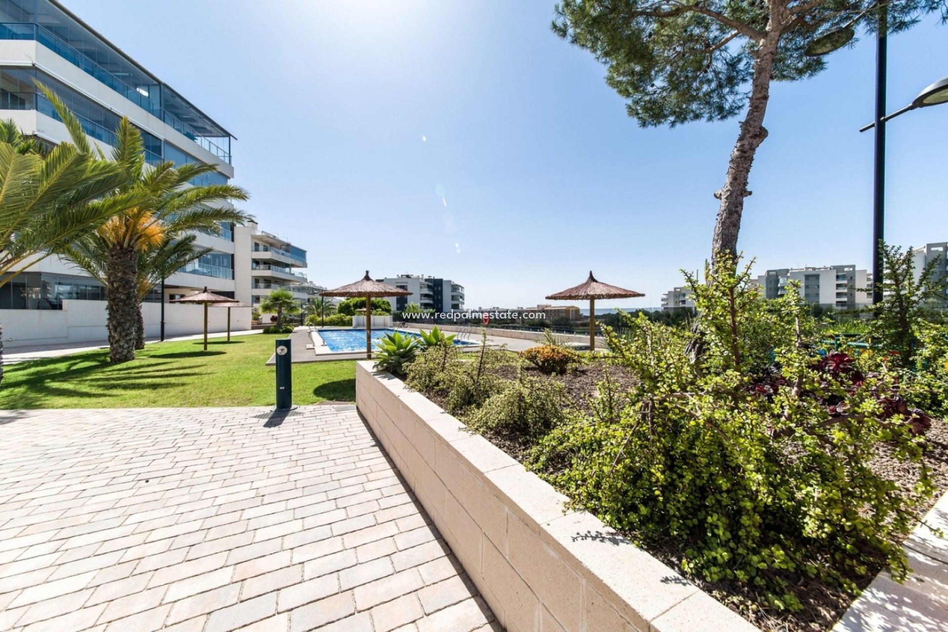 Återförsäljning - Lägenhet Penthouse -
Orihuela Costa - Costa Blanca