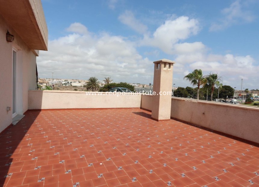 Återförsäljning - Lägenhet Penthouse -
Orihuela Costa - Punta Prima