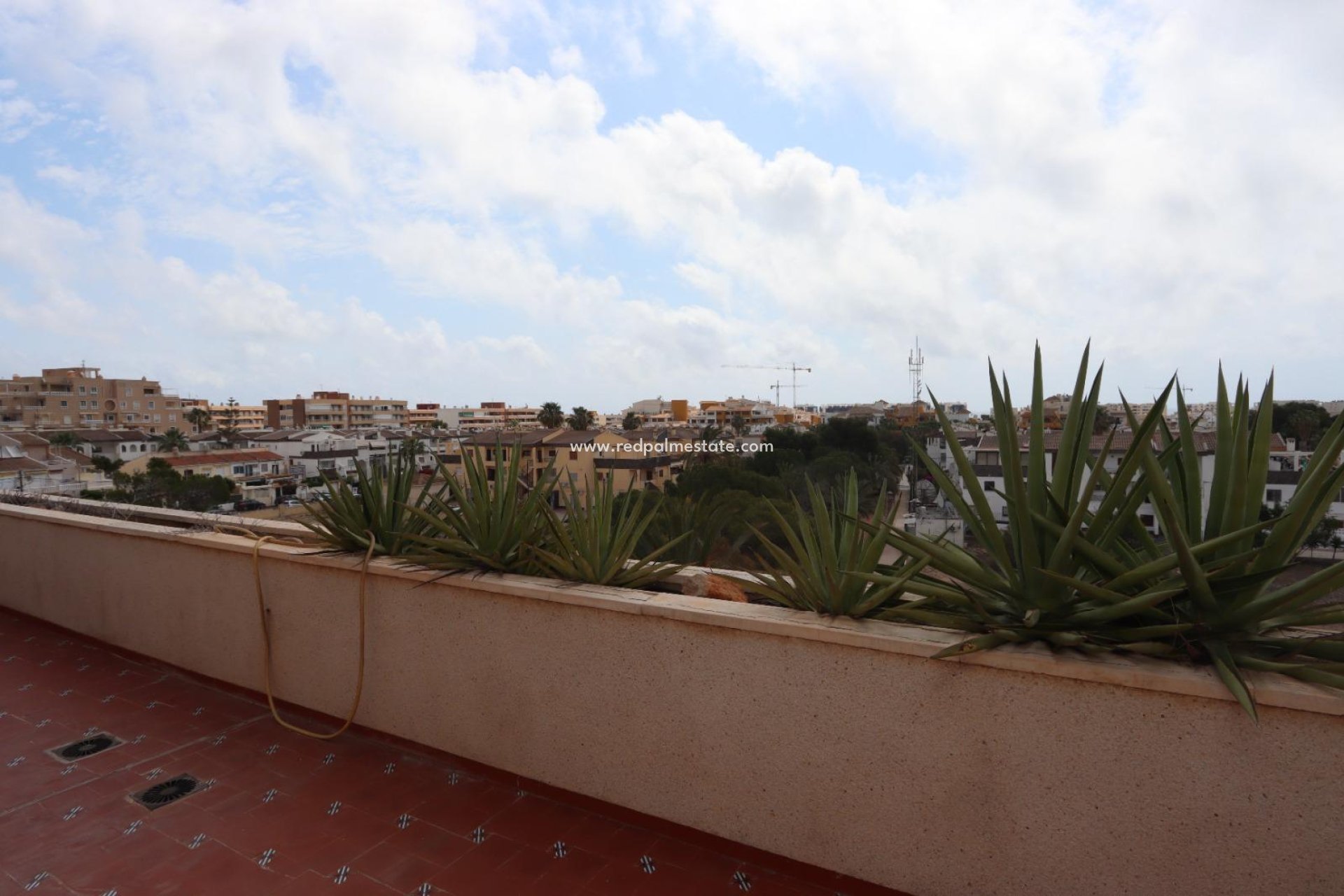 Återförsäljning - Lägenhet Penthouse -
Orihuela Costa - Punta Prima