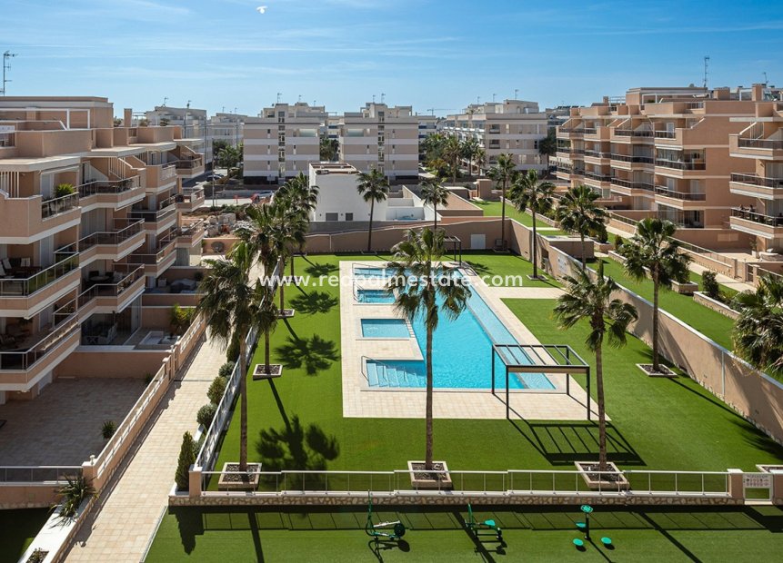 Återförsäljning - Lägenhet Penthouse -
Orihuela Costa - Villamartín