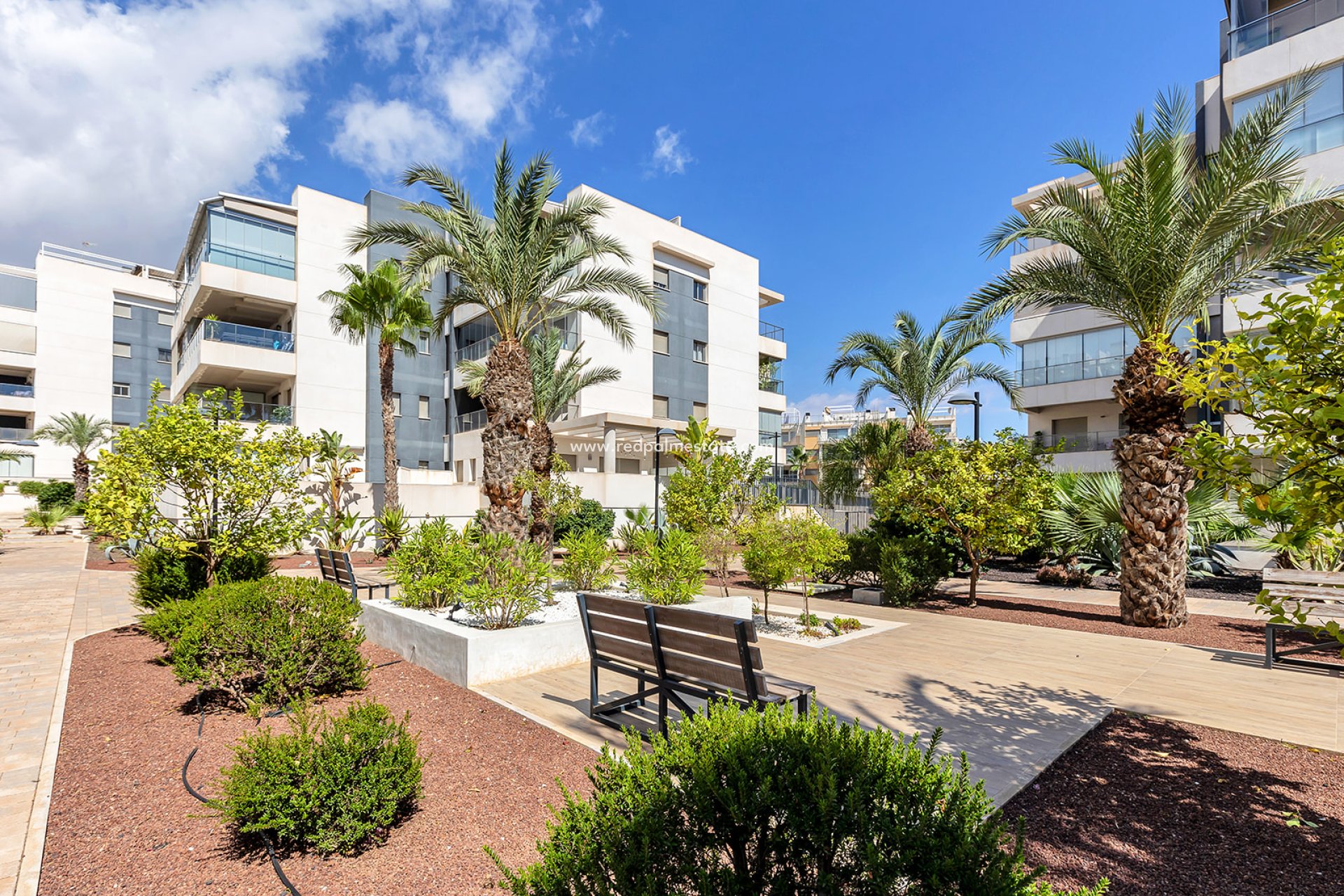 Återförsäljning - Lägenhet Penthouse -
Orihuela Costa - Villamartín