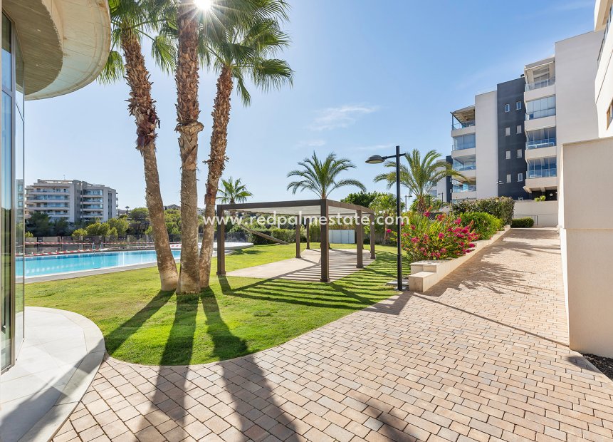 Återförsäljning - Lägenhet Penthouse -
Orihuela Costa - Villamartín