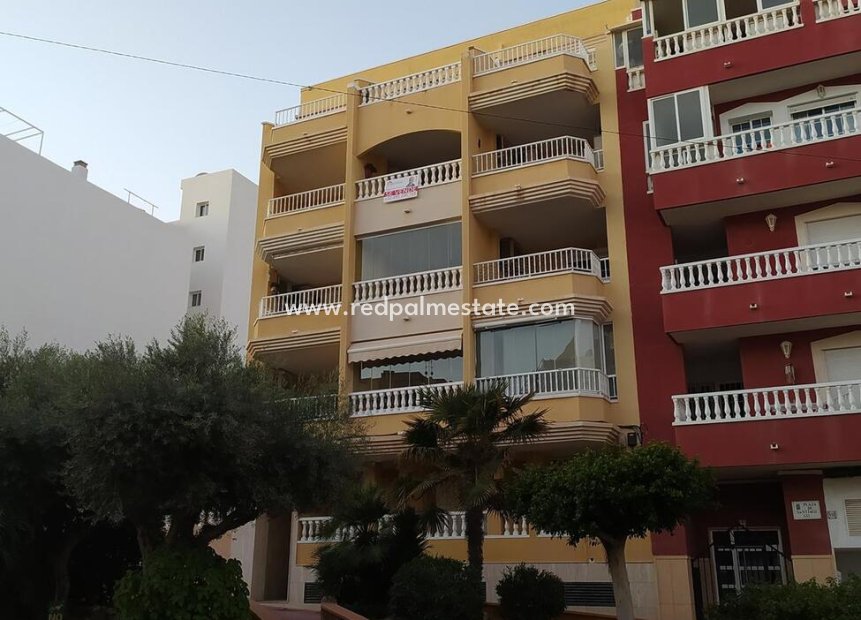 Återförsäljning - Lägenhet Penthouse -
Torrevieja - La Mata