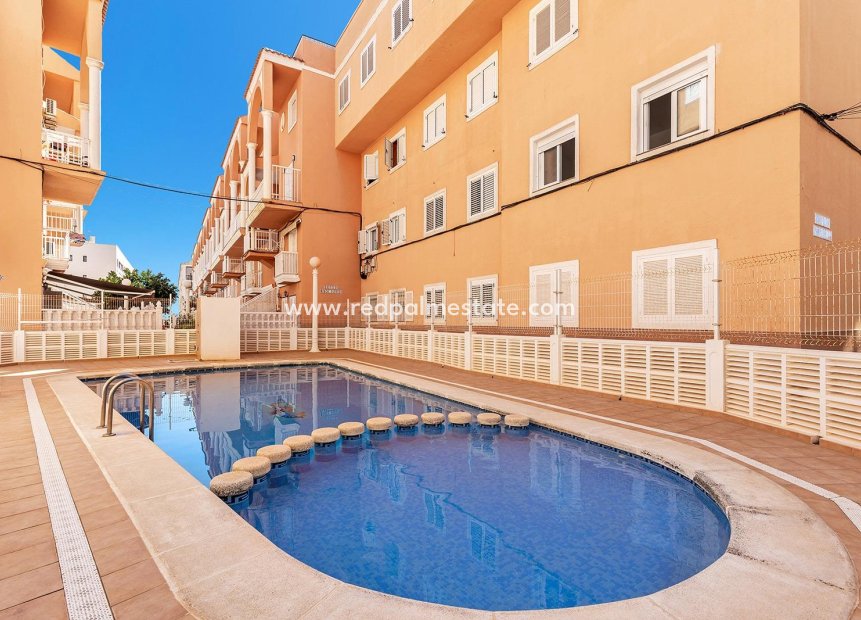 Återförsäljning - Lägenhet Penthouse -
Torrevieja - La Mata