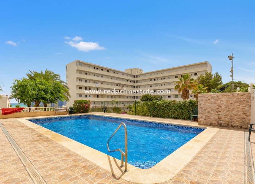 Återförsäljning - Lägenhet Penthouse -
Torrevieja - La Mata