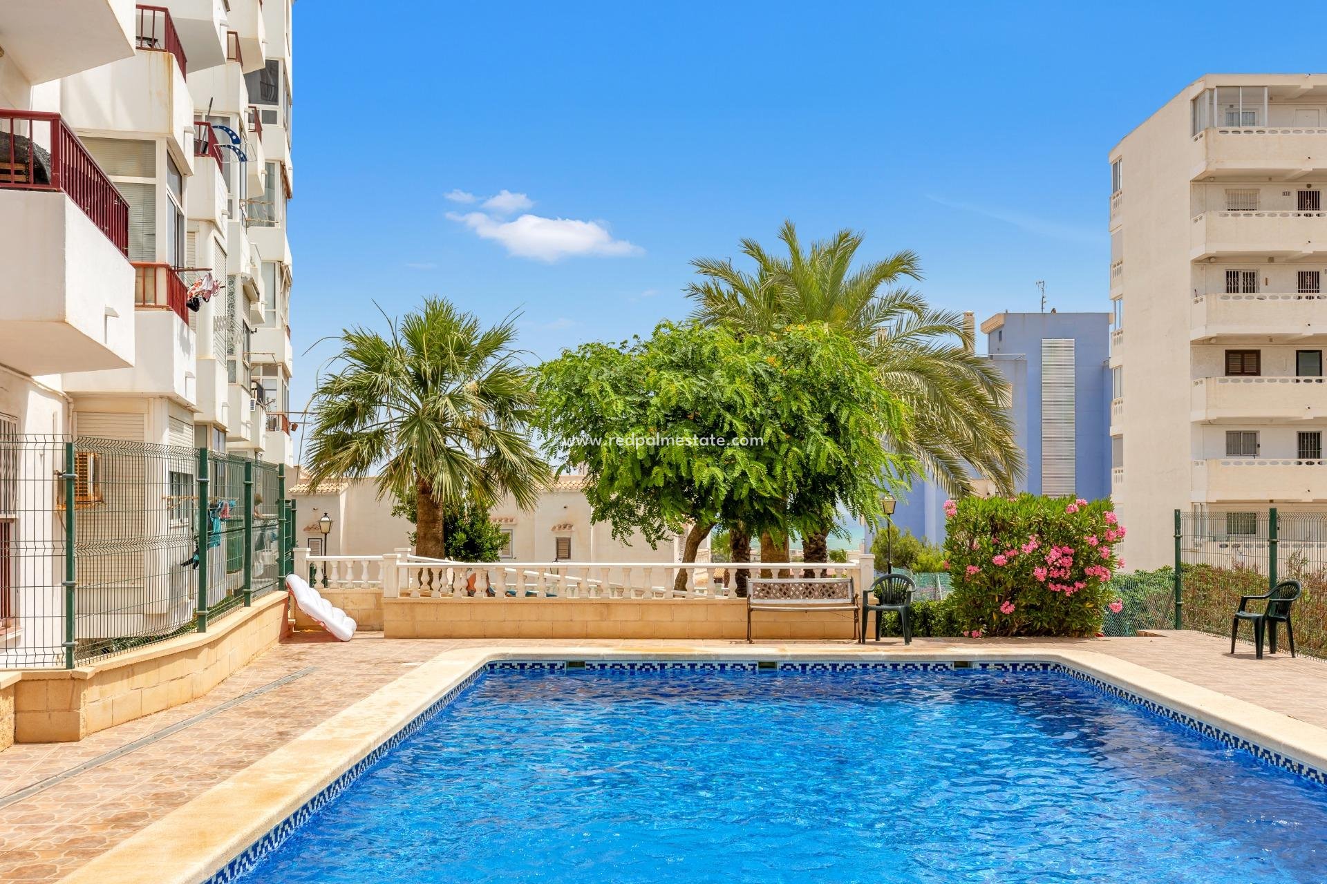 Återförsäljning - Lägenhet Penthouse -
Torrevieja - La Mata