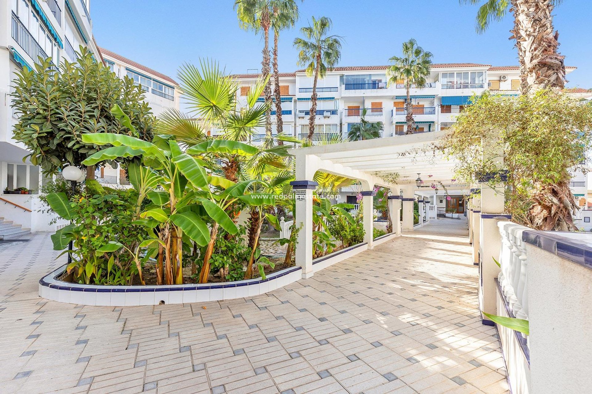 Återförsäljning - Lägenhet Penthouse -
Torrevieja - Los Europeos