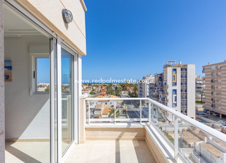 Återförsäljning - Lägenhet Penthouse -
Torrevieja - Nueva Torrevieja - Aguas Nuevas