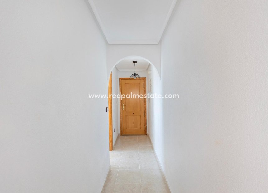 Återförsäljning - Lägenhet Penthouse -
Torrevieja - Nueva Torrevieja - Aguas Nuevas