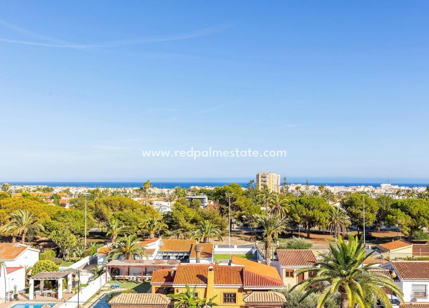 Återförsäljning - Lägenhet Penthouse -
Torrevieja - Nueva Torrevieja - Aguas Nuevas