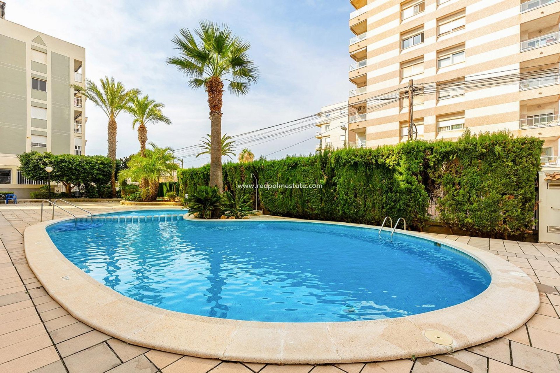 Återförsäljning - Lägenhet Penthouse -
Torrevieja - Nueva Torrevieja - Aguas Nuevas