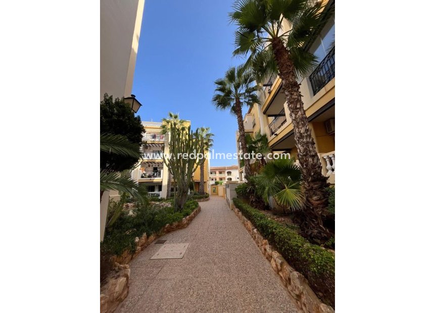 Återförsäljning - Lägenhet Penthouse -
Torrevieja - Rosaleda-los frutales