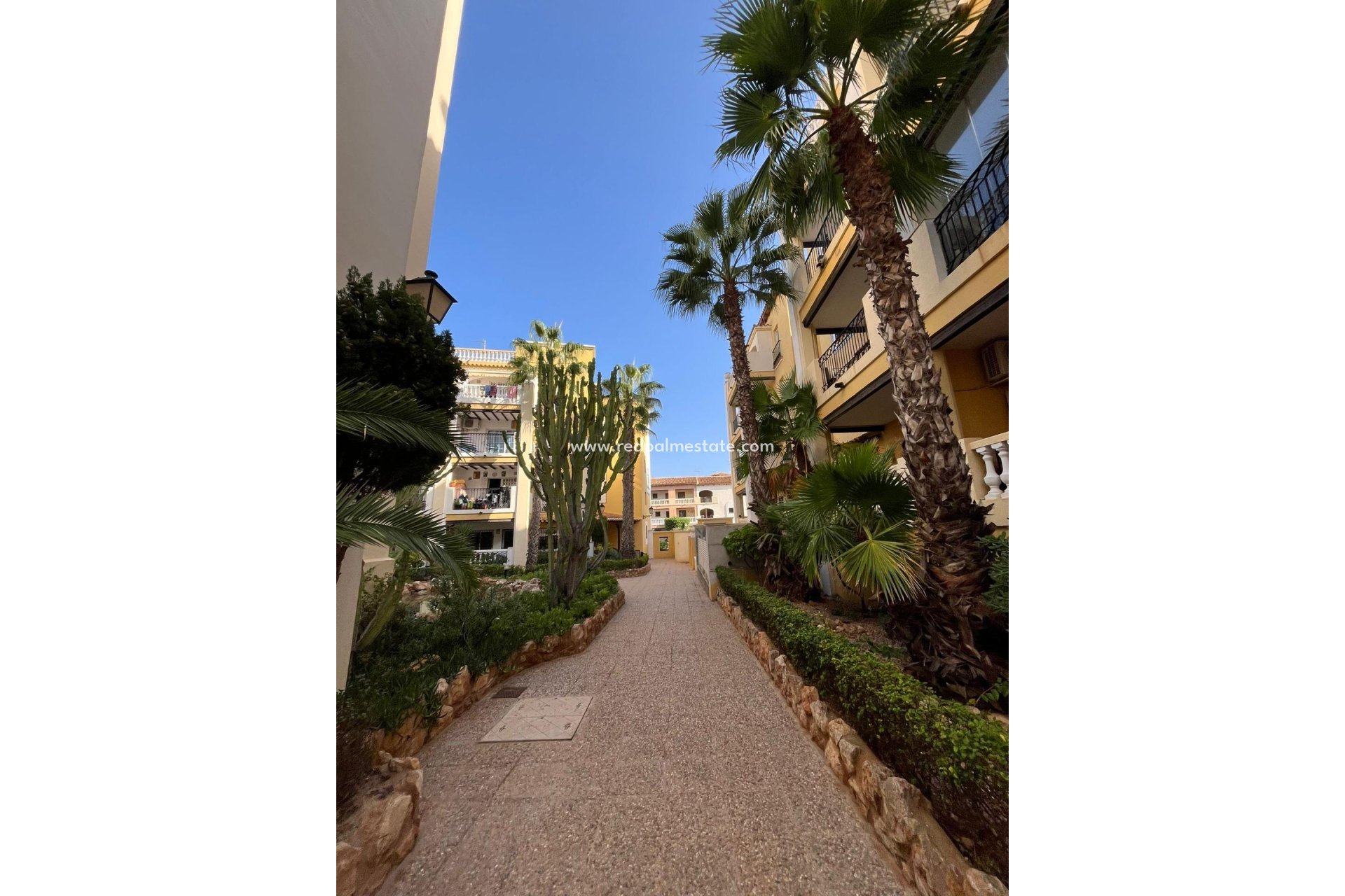 Återförsäljning - Lägenhet Penthouse -
Torrevieja - Rosaleda-los frutales