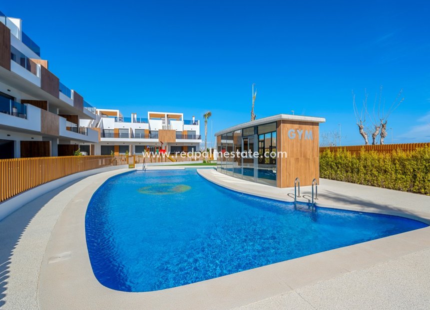 Återförsäljning - Lägenhet -
Pilar de la Horadada - Costa Blanca