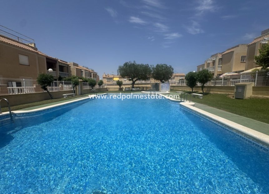 Återförsäljning - Lägenhet -
Torrevieja - Auguas Neuvas