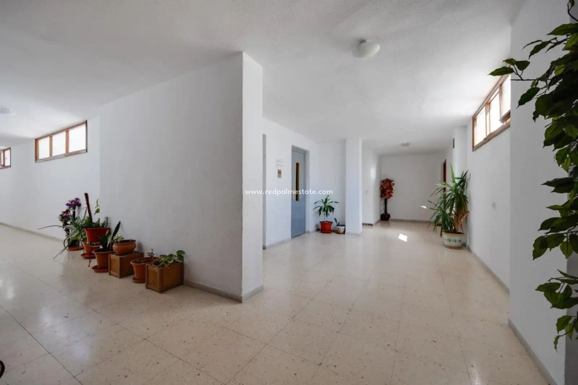 Återförsäljning - Lägenhet -
Torrevieja C