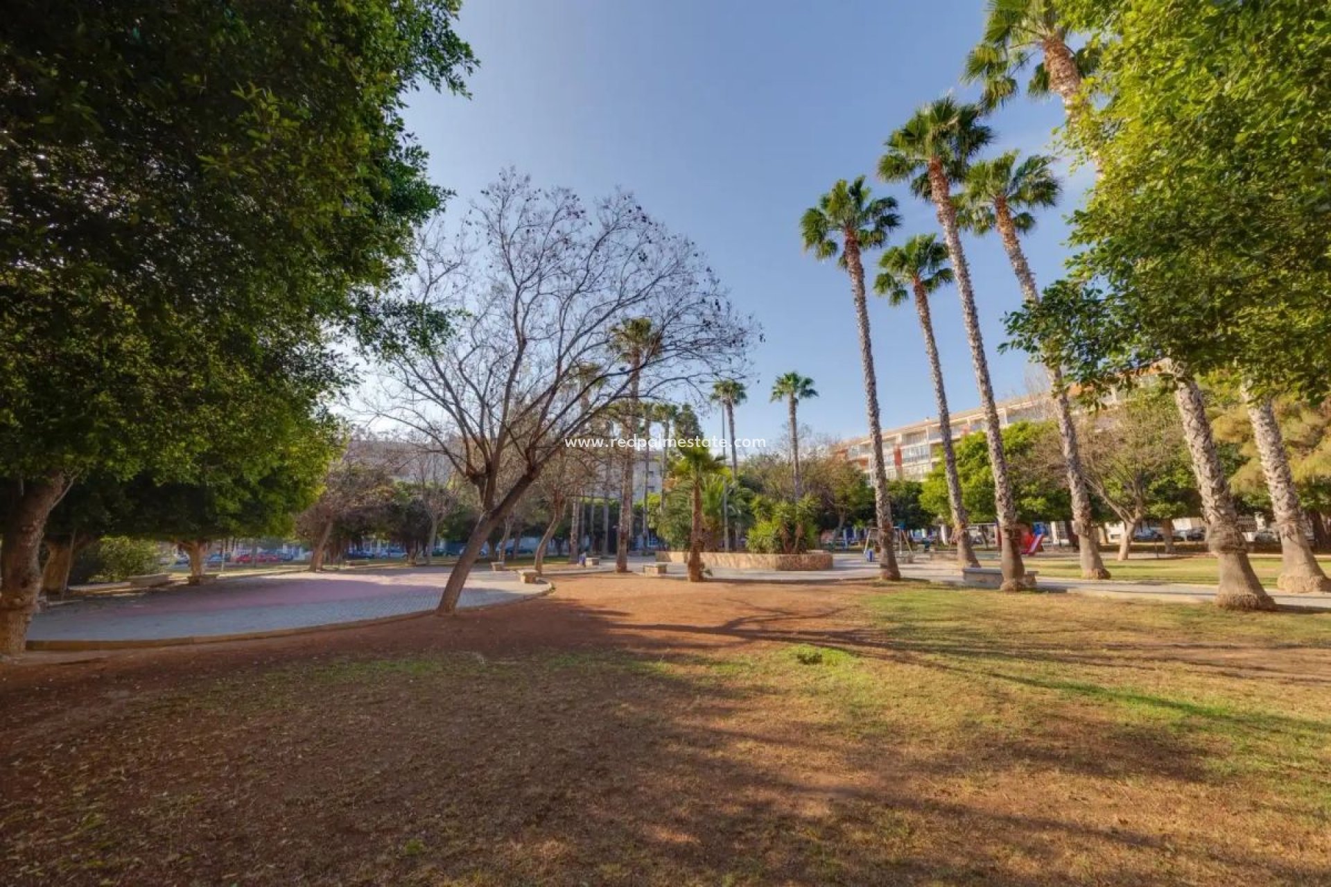 Återförsäljning - Lägenhet -
Torrevieja C