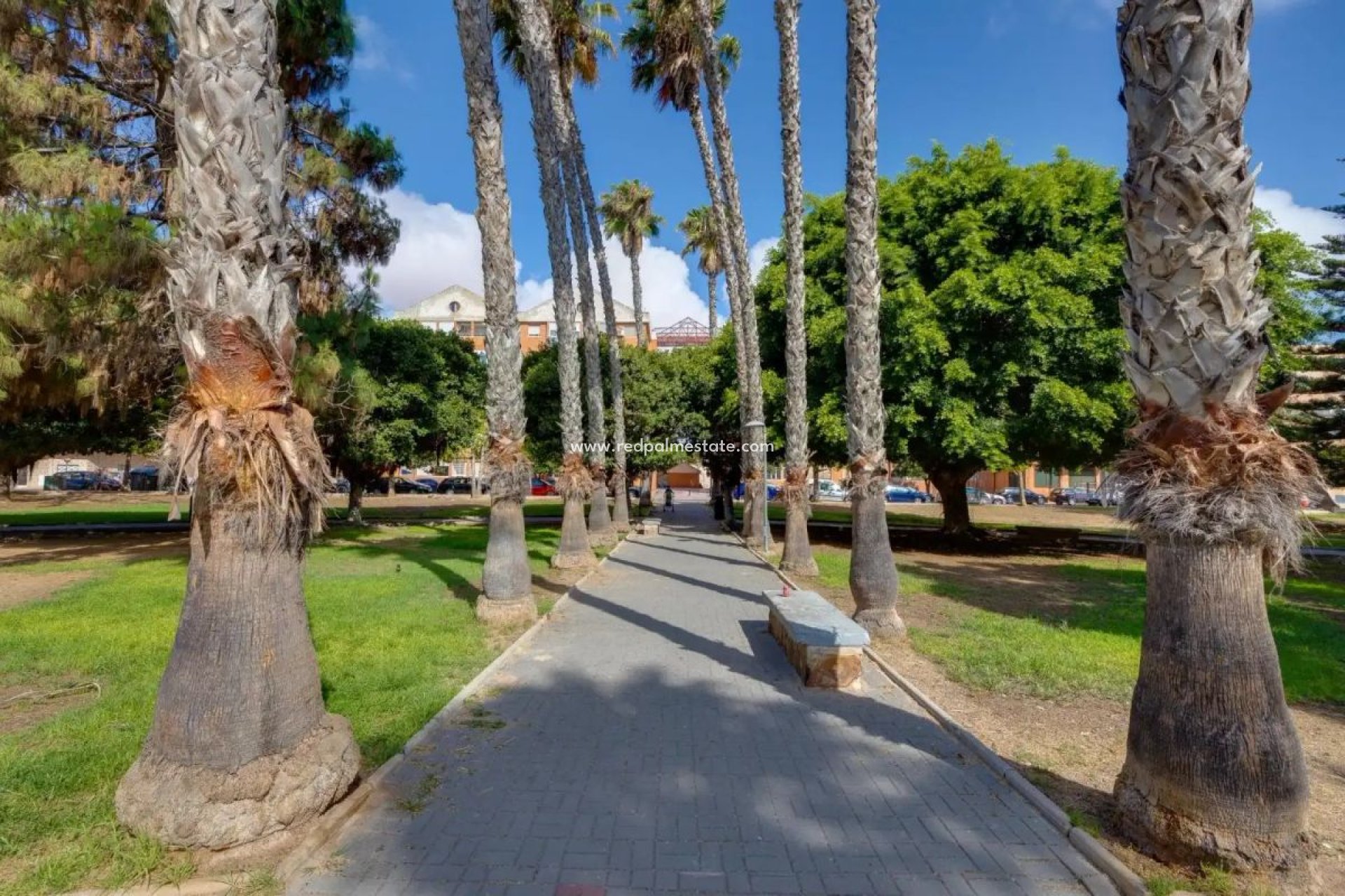 Återförsäljning - Lägenhet -
Torrevieja C
