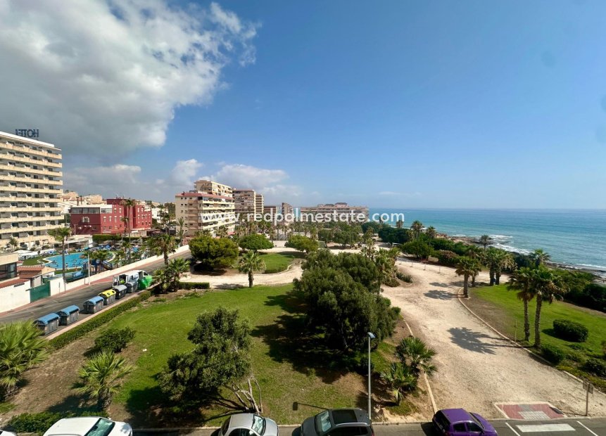 Återförsäljning - Lägenhet -
Torrevieja - Cabo cervera