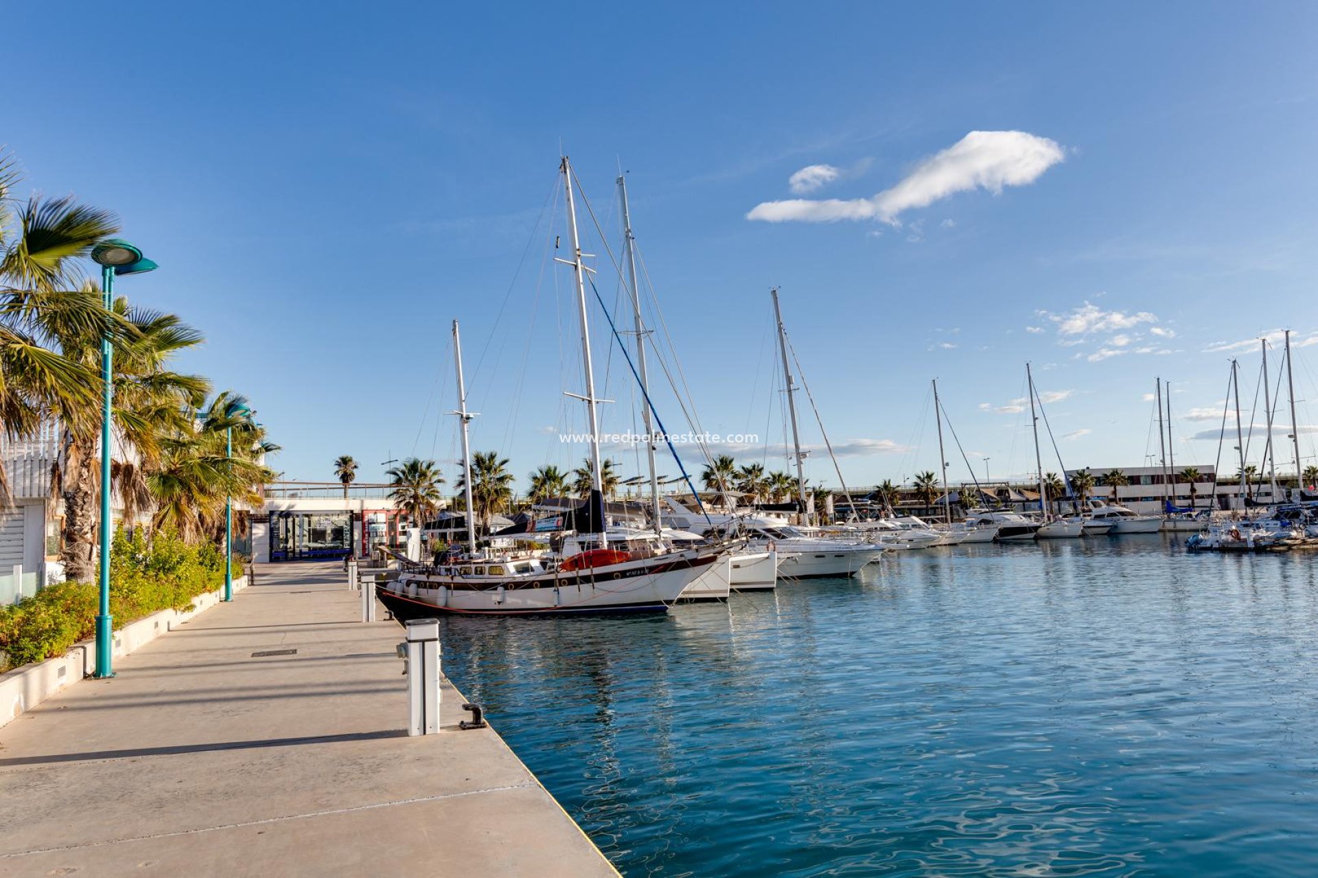 Återförsäljning - Lägenhet -
Torrevieja - Center