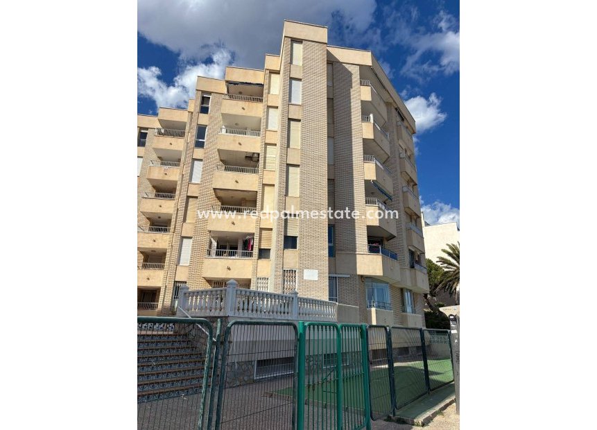 Återförsäljning - Lägenhet -
Torrevieja - Center