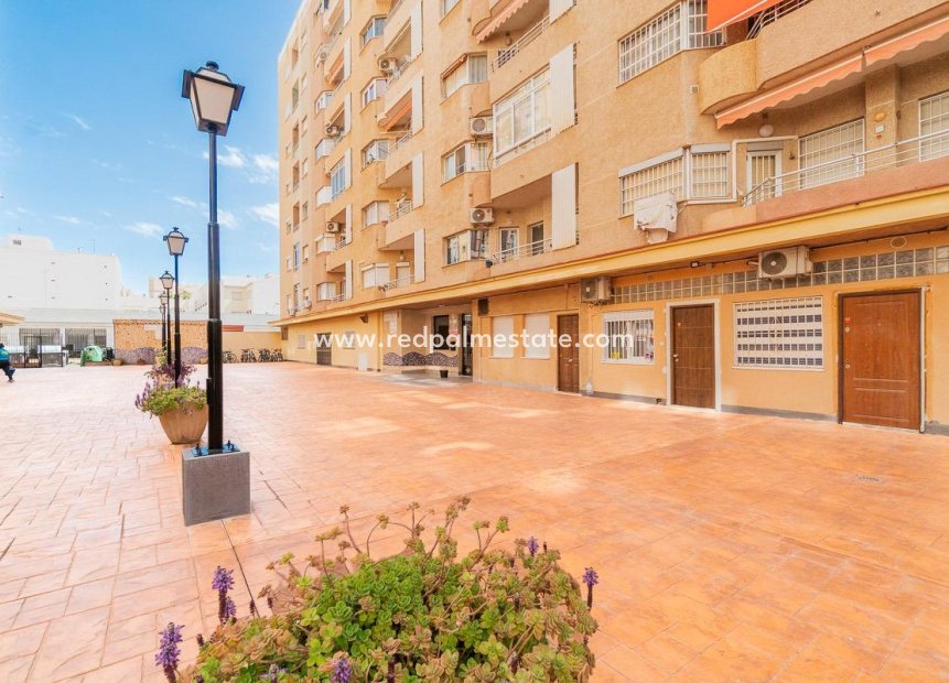 Återförsäljning - Lägenhet -
Torrevieja - Centro Torrevieja