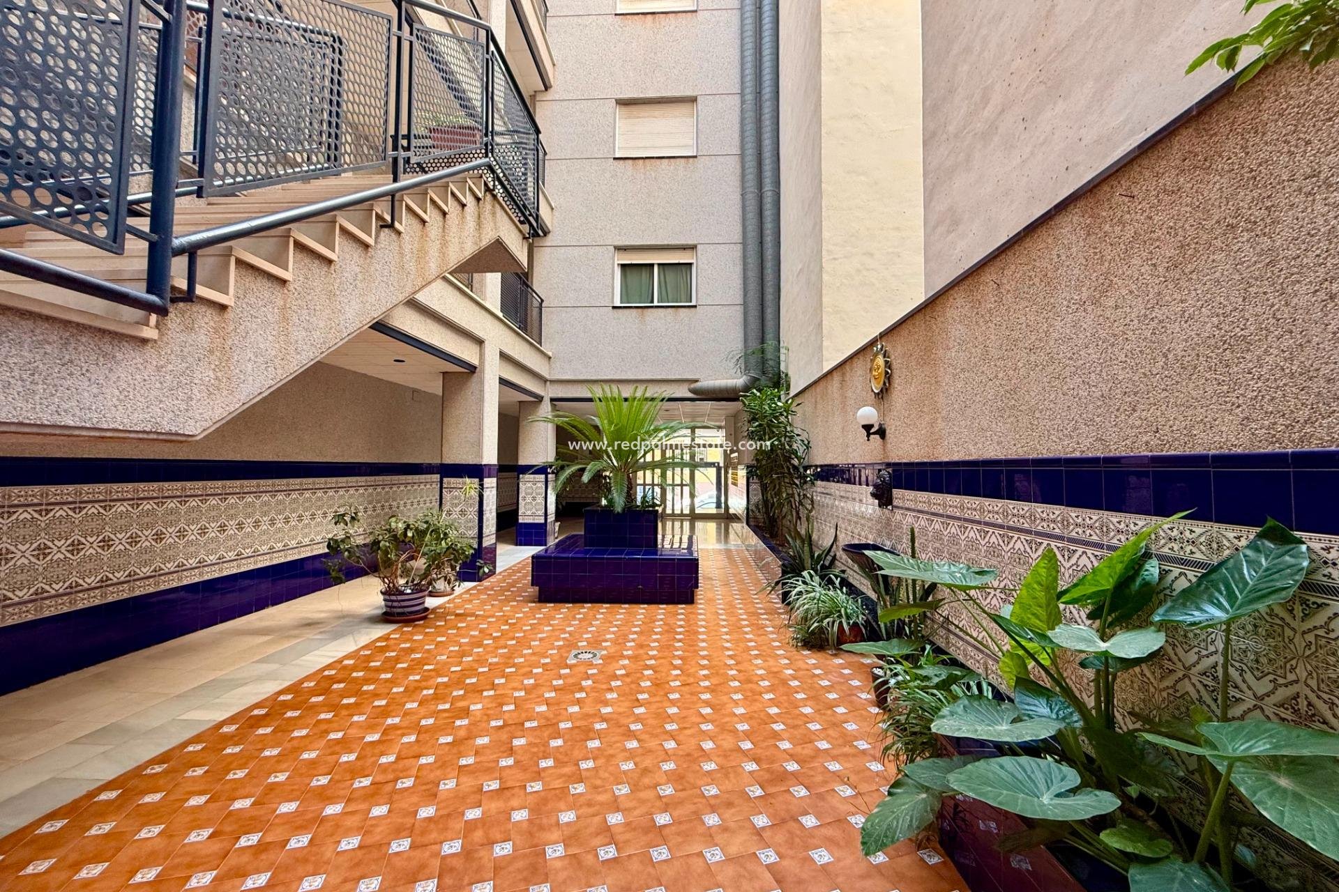 Återförsäljning - Lägenhet -
Torrevieja - Centro Torrevieja