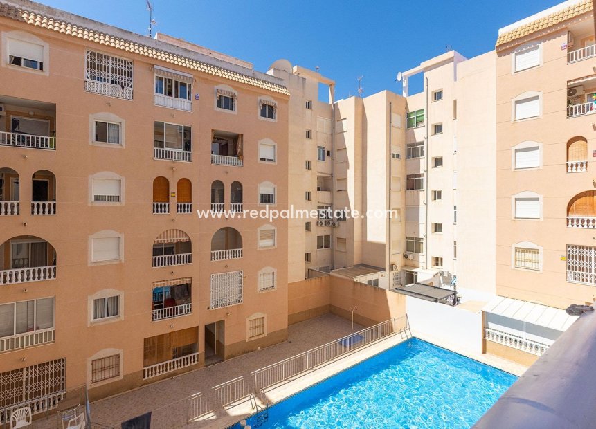 Återförsäljning - Lägenhet -
Torrevieja - Centro Torrevieja