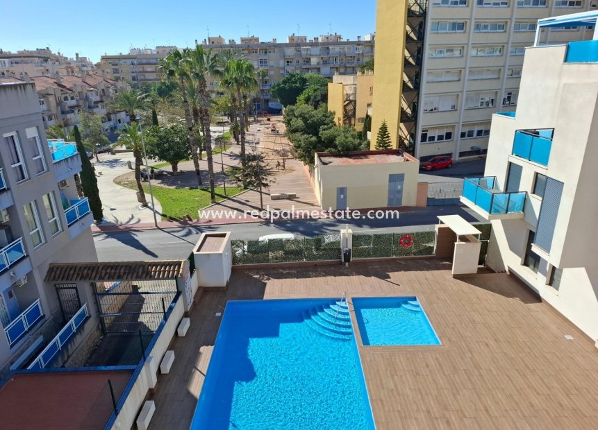 Återförsäljning - Lägenhet -
Torrevieja - Centro Torrevieja