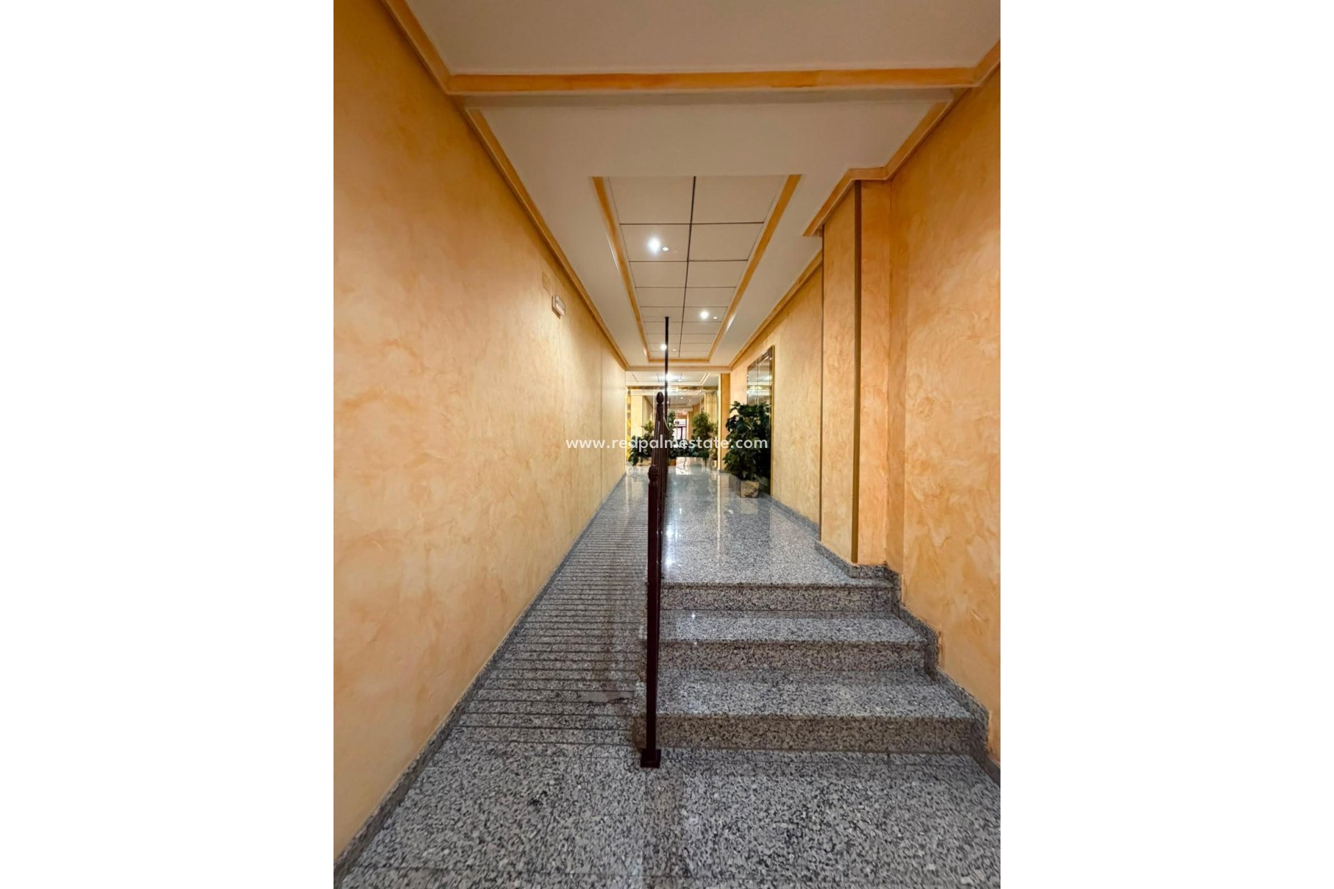 Återförsäljning - Lägenhet -
Torrevieja - Centro Torrevieja