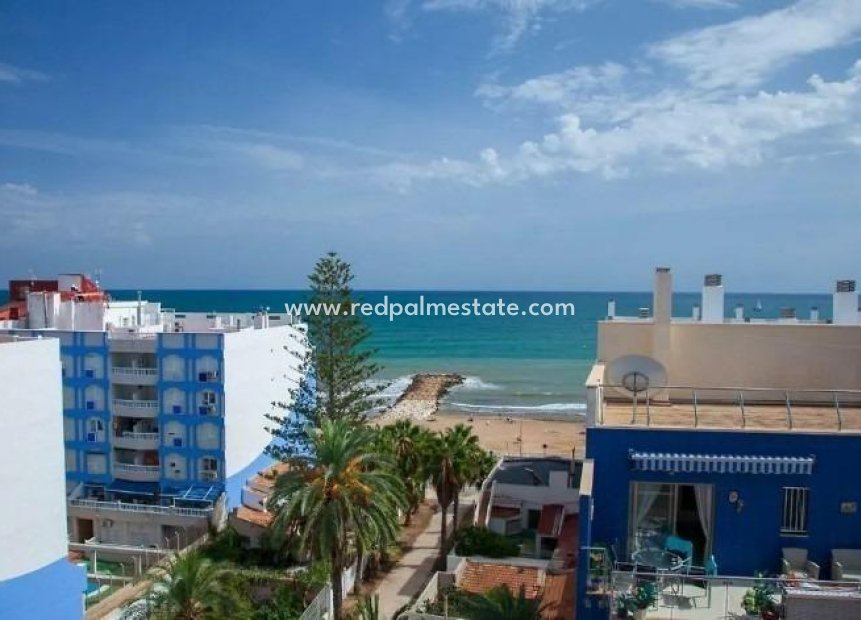 Återförsäljning - Lägenhet -
Torrevieja - Centro Torrevieja