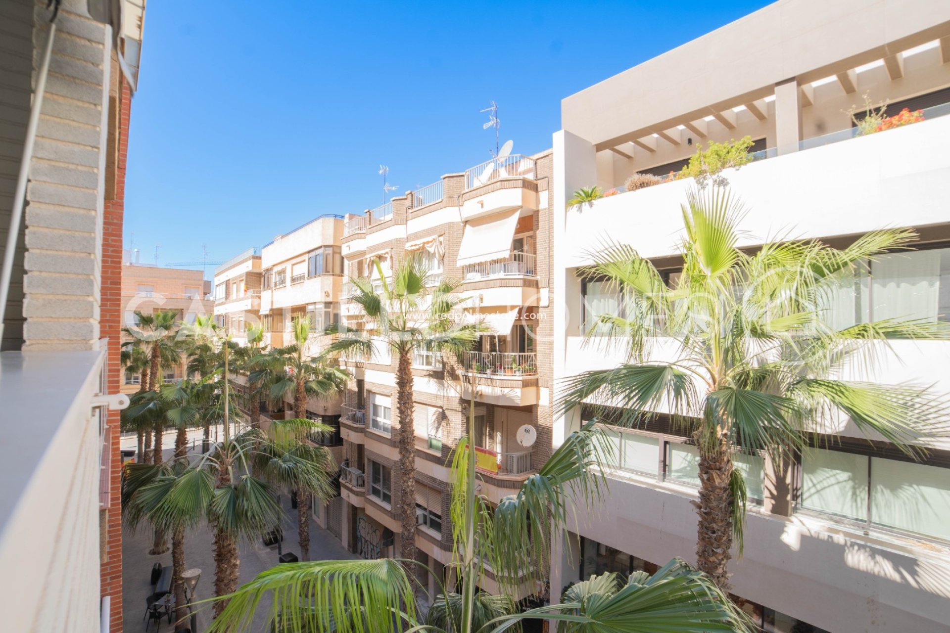 Återförsäljning - Lägenhet -
Torrevieja - Centro Torrevieja