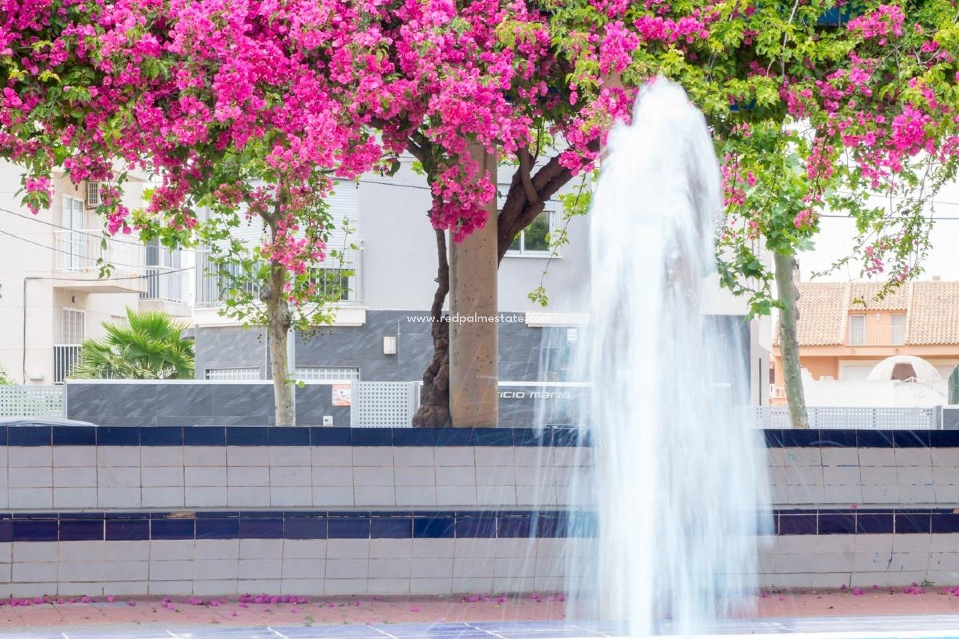 Återförsäljning - Lägenhet -
Torrevieja - Centro Torrevieja