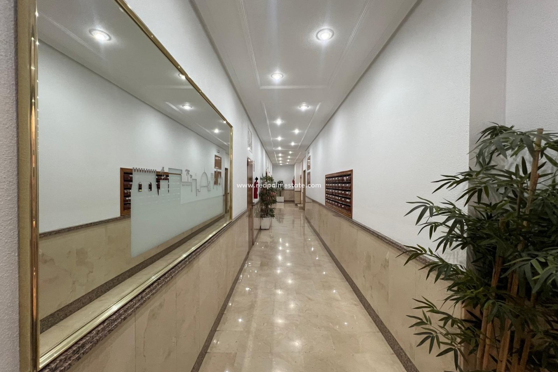 Återförsäljning - Lägenhet -
Torrevieja - Centro Torrevieja