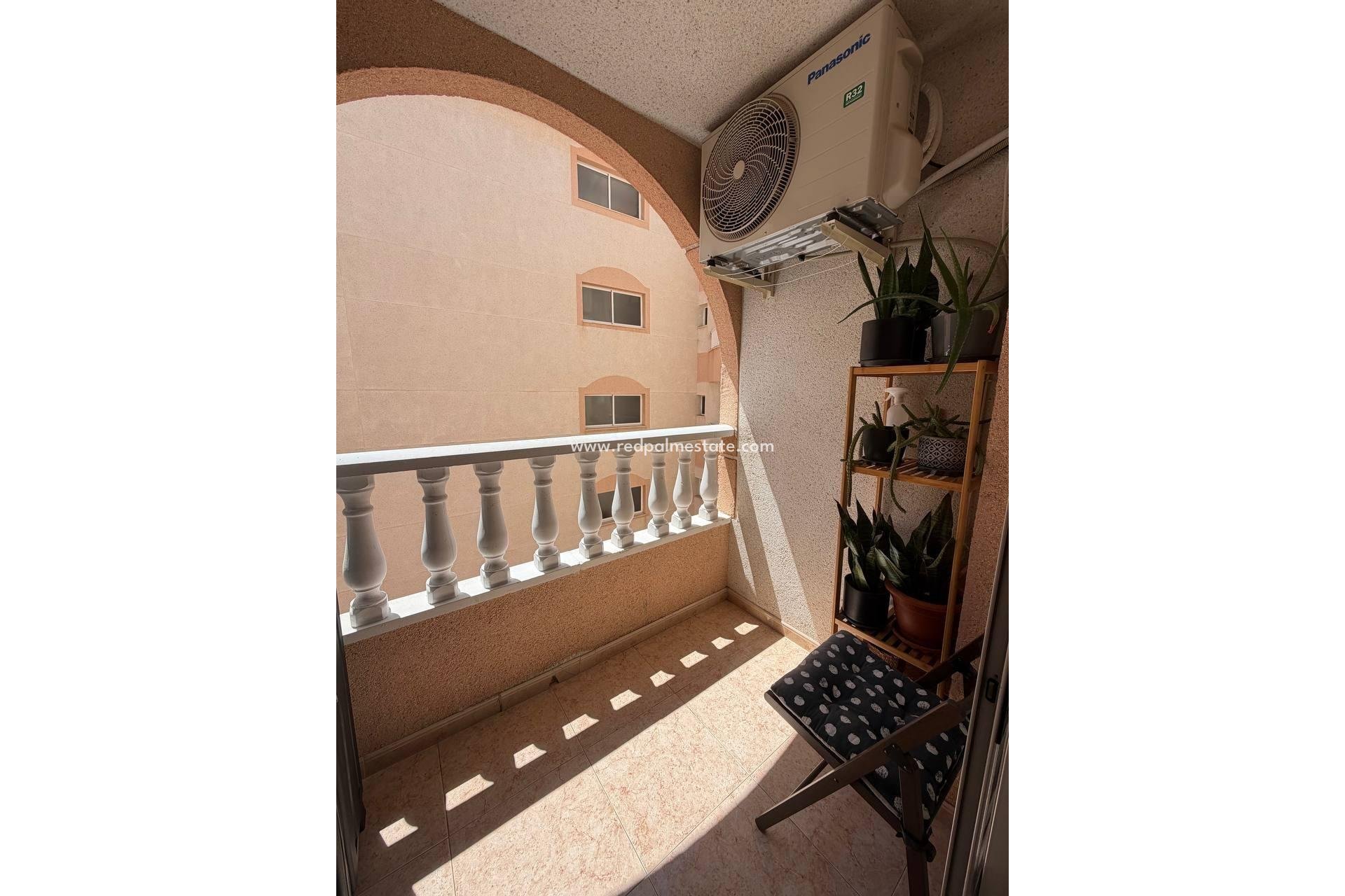 Återförsäljning - Lägenhet -
Torrevieja - Centro Torrevieja