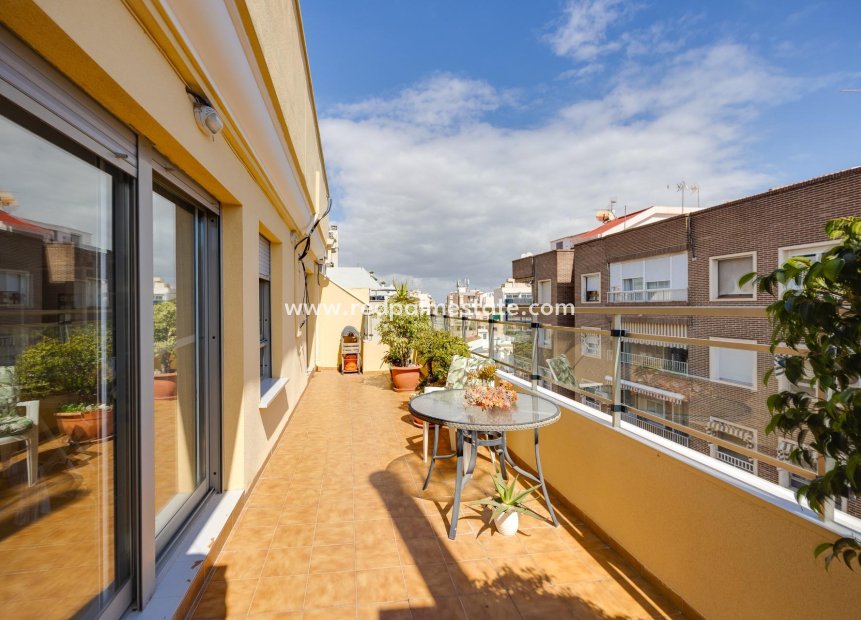 Återförsäljning - Lägenhet -
Torrevieja - Centro Torrevieja